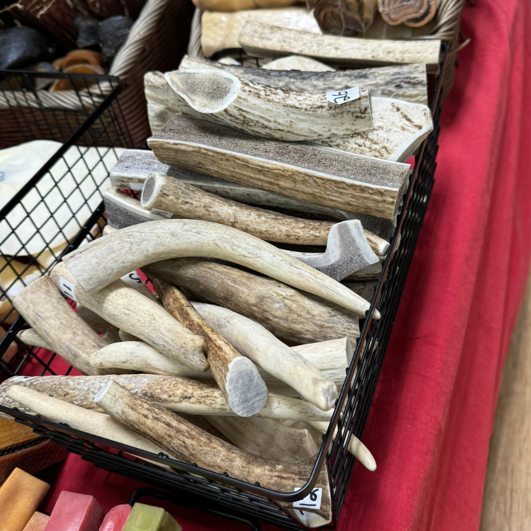 Elk Antler